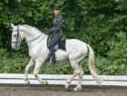 kladruber-canter-showriding-dressage-legerete