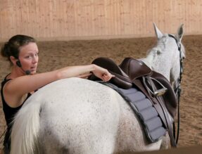 nancy-heiber-explaining-saddle-on-horse