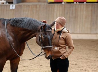 nancy-heiber-thanking-horse