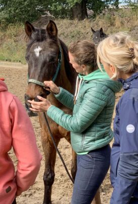 nancy-heiber-teaching-body-work-technique-horse