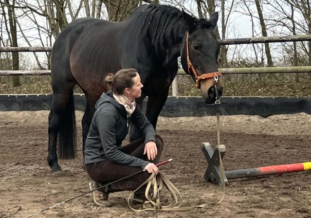 pferd-harmonie-beziehung-nancy-heiber-relationship-groundwork