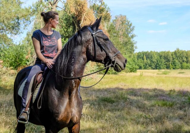 pferd-harmonie-beziehung-nancy-heiber-relationship-horse-human