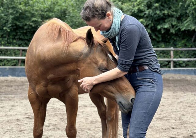 pferd-harmonie-beziehung-nancy-heiber-relationship-horse-human
