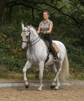 nancy-heiber-riding-happy-horse-piaffe