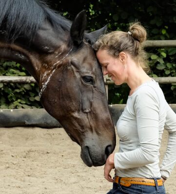 nancy-heiber-vertraut-pferd-nähe-trust-your-horse-love