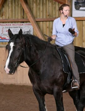 nancy-heiber-riding-shire-horse-at-riding-clinic