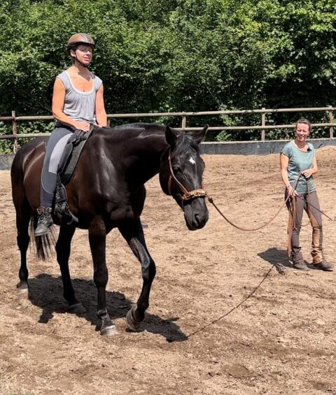 Where am I exercise-horse-rider-feeling-safe-sicherheit-pferd-nancy-heiber