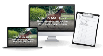 stress-mastery-onlinekurs