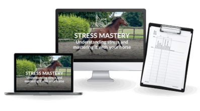 stress-mastery-online-course