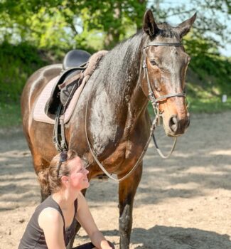 IMG_0795_KORR pferd-harmonie-vertrauen-trust-horse-human