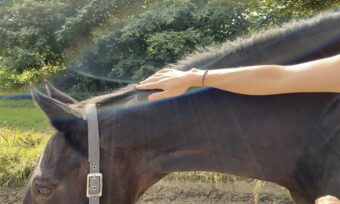 Bodywork-nancy-heiber {{brizy_dc_image_alt imageSrc=