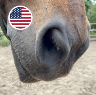 nancy-heiber-horse-respiratory-exercise
