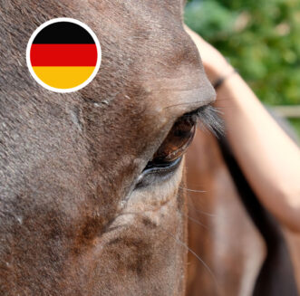 nancy-heiber-pferd-auge-achtsamkeit