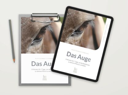 pferd-vertrauen-aufbauen-achtsamkeit-freebie
