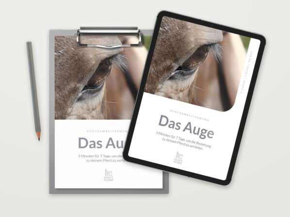 pferd-vertrauen-aufbauen-achtsamkeit-freebie {{brizy_dc_image_alt imageSrc=