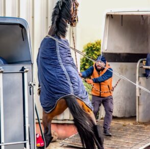 pferd-verladen-anhaenger-stress-panik-angst-gefahr {{brizy_dc_image_alt imageSrc=