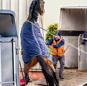 pferd-verladen-anhaenger-stress-panik-angst-gefahr {{brizy_dc_image_alt imageSrc=